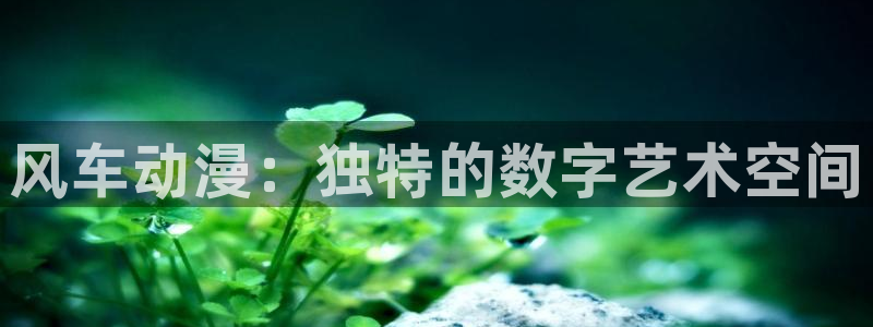 囧次元无：风车动漫：独特的数字艺术空间