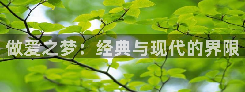 囧次元官方正版：做爱之梦：经典与现代的界限