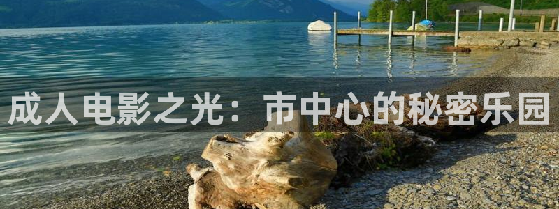 囧次元app正版：成人电影之光：市中心的秘密乐园
