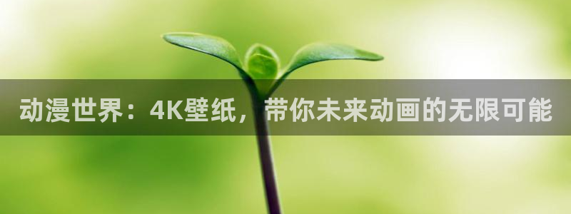 囧次元正版入口：动漫世界：4K壁纸，带你未来动画的无限可能