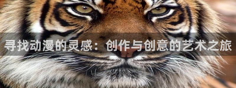 囧次元官方：寻找动漫的灵感：创作与创意的艺术之旅
